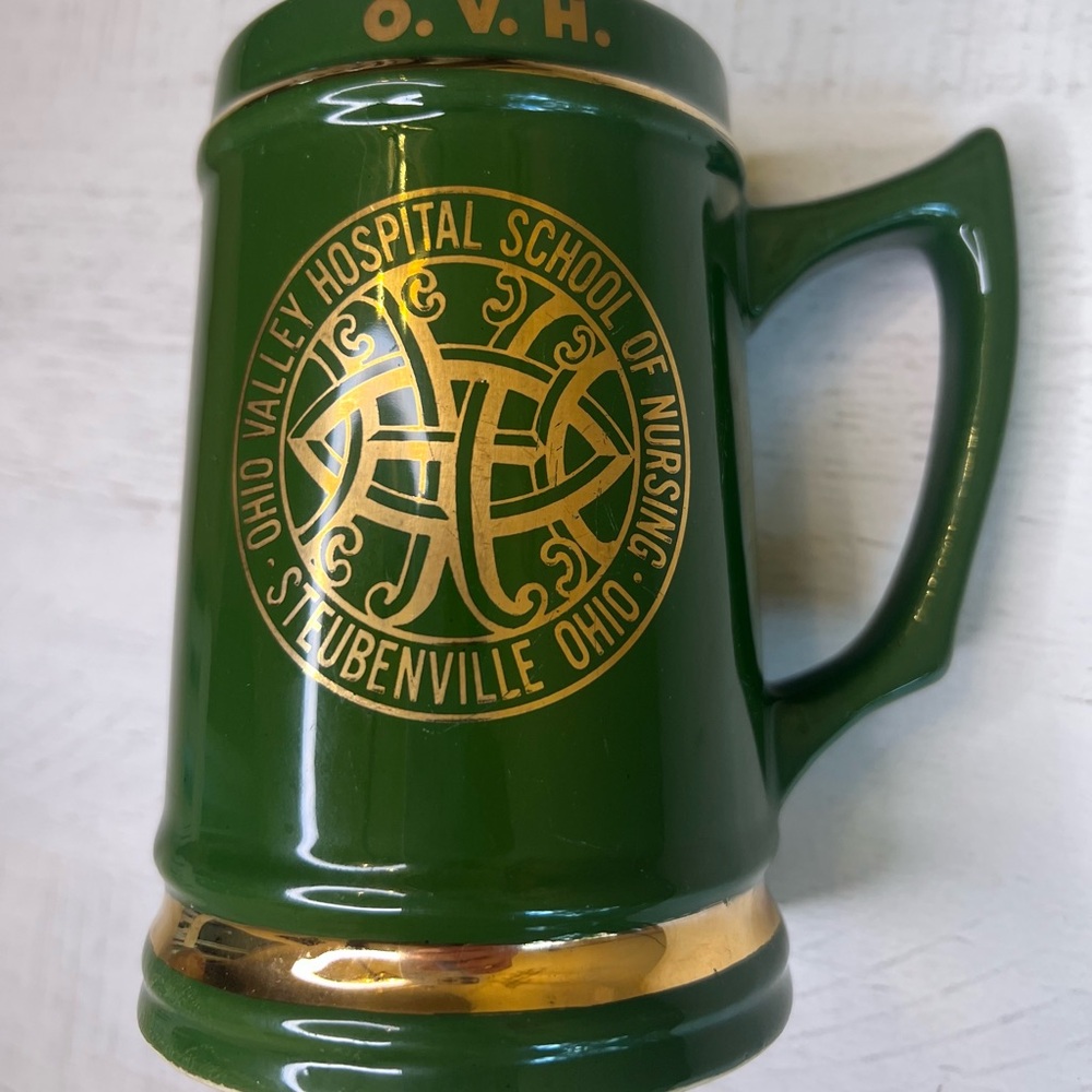 Green Ohio Valley Hospital School of Nursing Mug